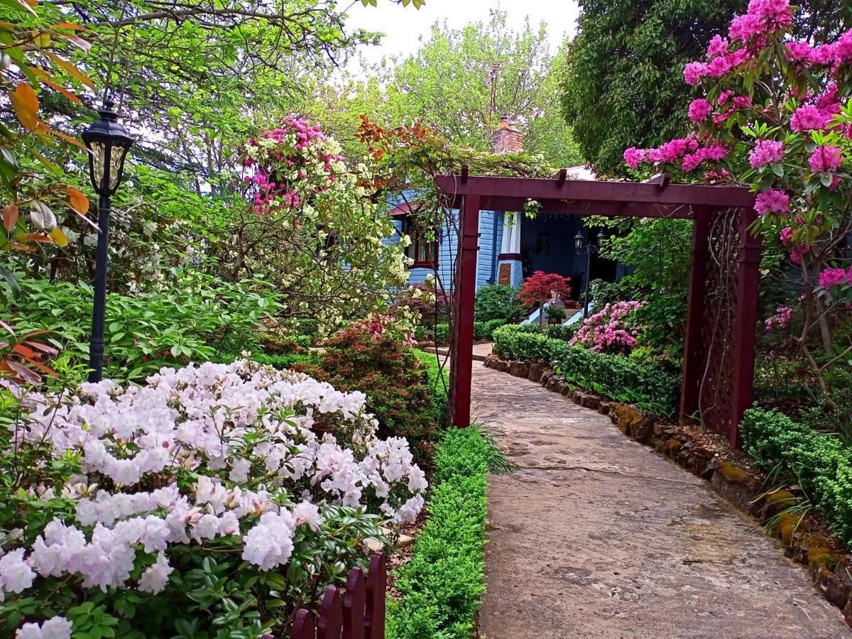 Kubba Roonga Guesthouse - Boutique Luxury Spa Retreat & Gardens - Blue Mountains Blackheath Kültér fotó