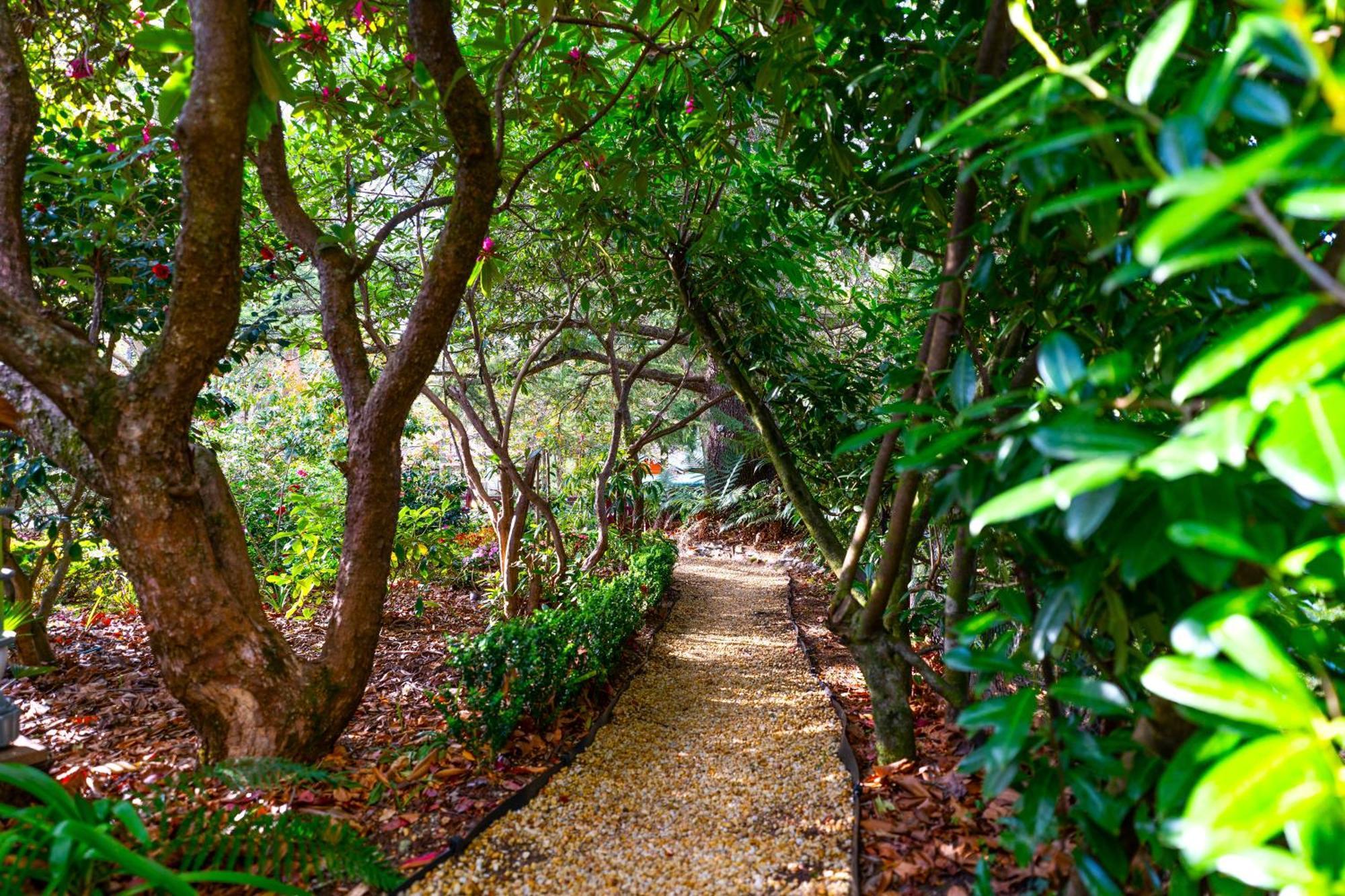 Kubba Roonga Guesthouse - Boutique Luxury Spa Retreat & Gardens - Blue Mountains Blackheath Kültér fotó