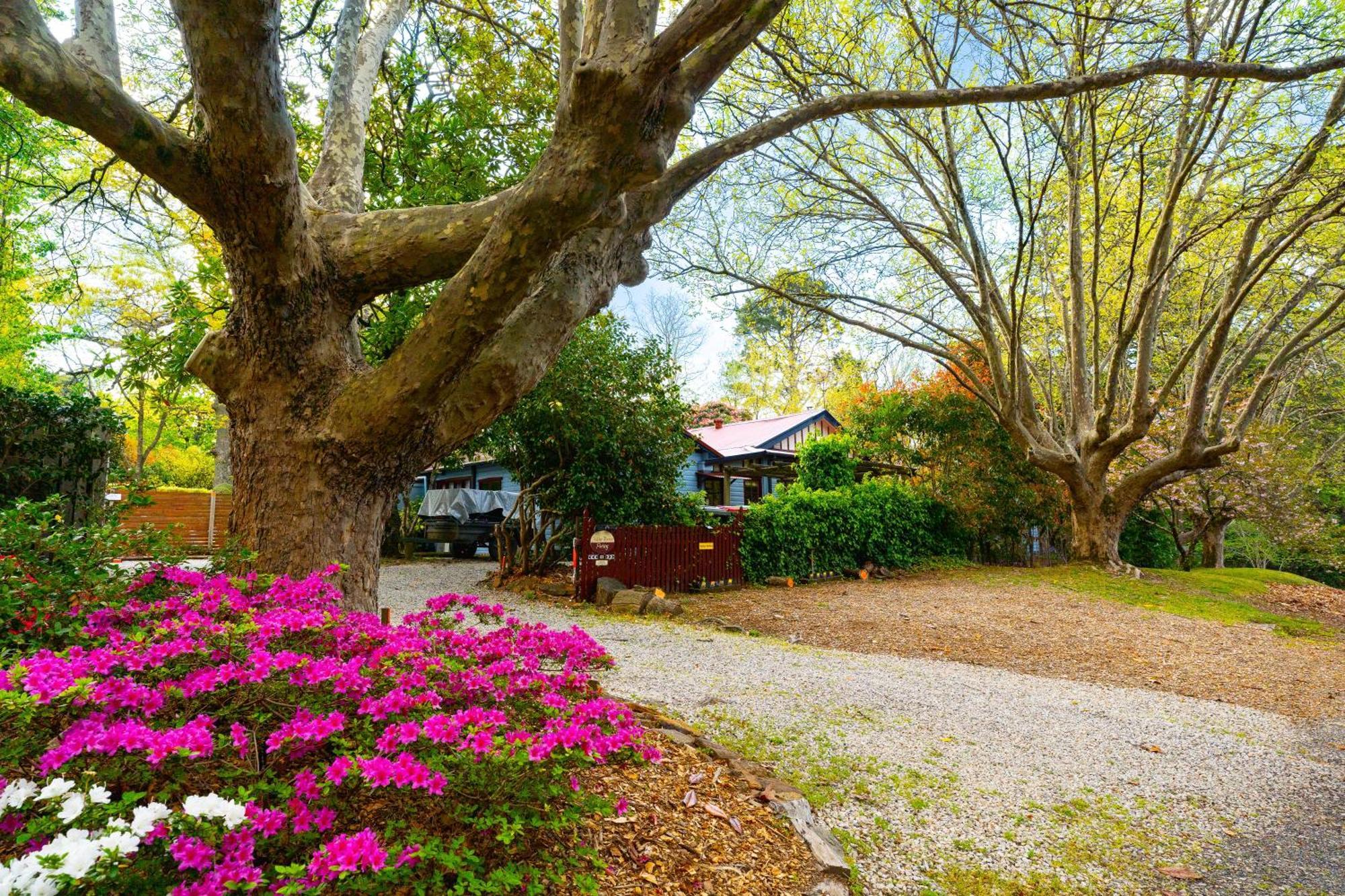 Kubba Roonga Guesthouse - Boutique Luxury Spa Retreat & Gardens - Blue Mountains Blackheath Kültér fotó